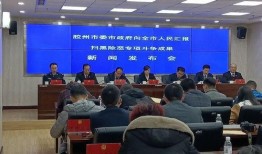 胶州最新爆料新闻报道网,聚焦热点事件，揭秘背后真相