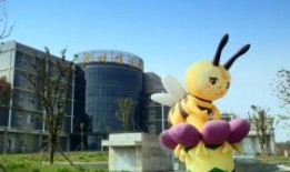 武汉小蜜蜂爆料事件视频,揭秘背后真相与网络舆论风暴